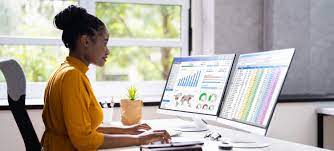 Software Engineering Manager